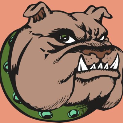 BAW BULLDOG 14 RC Thumbnail