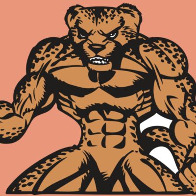 BAW CHEETAH 07 RC Thumbnail