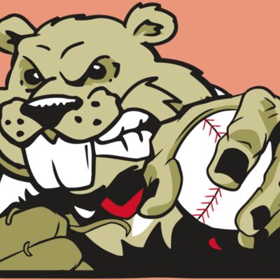 AR4 BEAVER 06 RQC Thumbnail