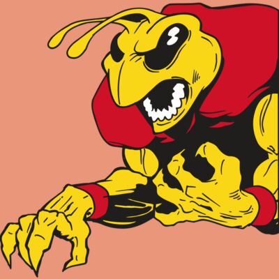 AR5 BEE 28 RQC Thumbnail