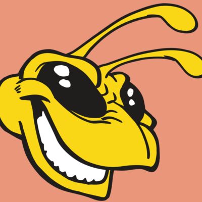 AR5 BEE 24 RQC Thumbnail