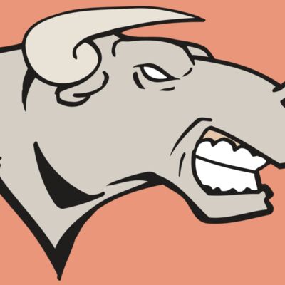 AR BULL 18 RC Thumbnail