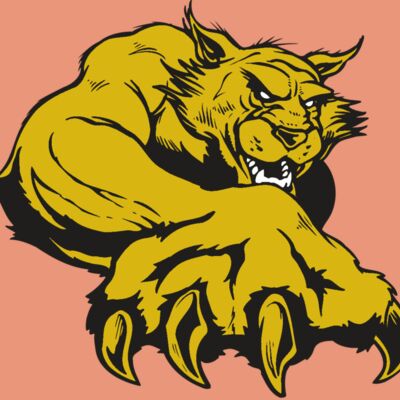 AR WILDCAT 26 RC Thumbnail