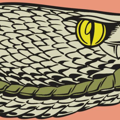 BAW SNAKE 03 RC Thumbnail