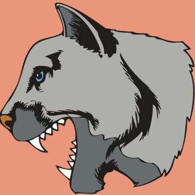 BAW COUG PANTH 15 R Thumbnail