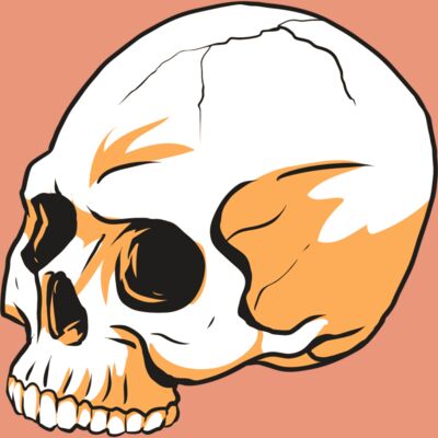 AR24 SKULL 13 RQC Thumbnail