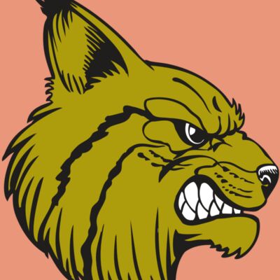 BAW BOBCAT 16 RC Thumbnail