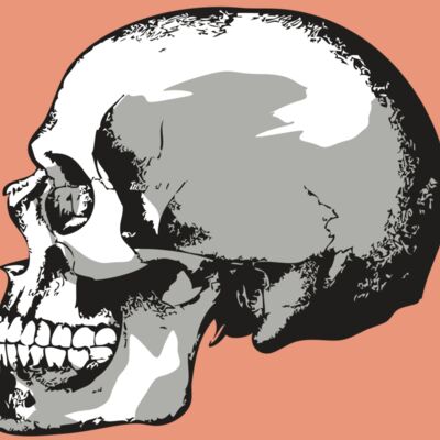 AR24 SKULL 02 RQC Thumbnail