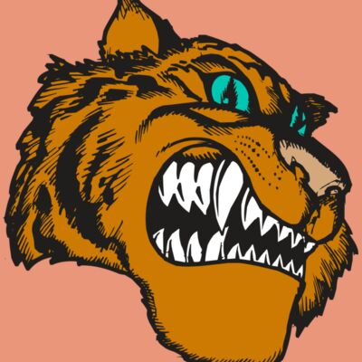 BAW TIGER 11 RC Thumbnail