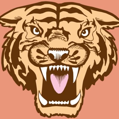 BAW TIGER 05 RC Thumbnail