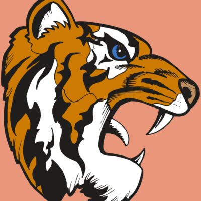 BAW TIGER 08 RC Thumbnail