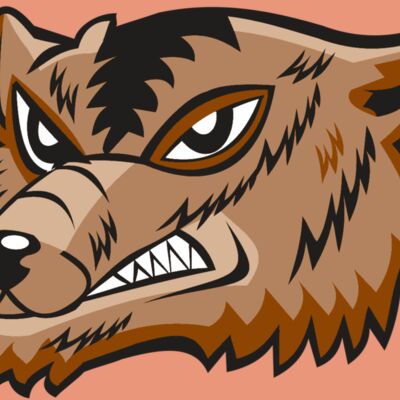 WOLVERINE HD0504 RQC Thumbnail