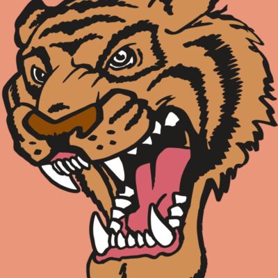 AR TIGER 12 RC Thumbnail