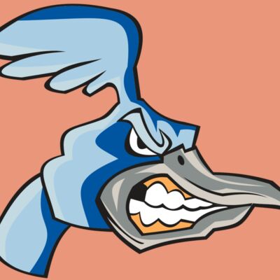 ROADRUNNER HD0503 RQC Thumbnail