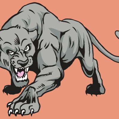 AR31 COUGAR 01 RQC Thumbnail