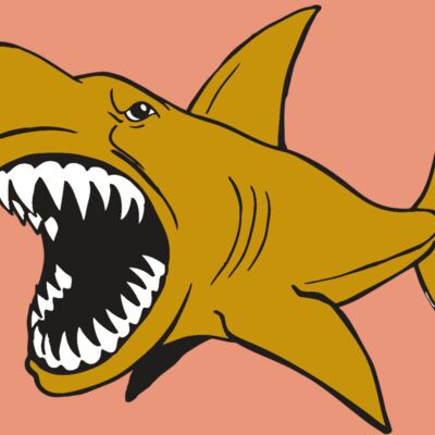 AR  SHARK 21 RC Thumbnail