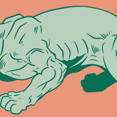 AR10 PANTHER 05 RQC Thumbnail