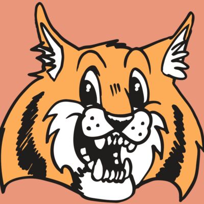 AR WILDCAT 13 RC Thumbnail