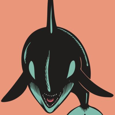 BAW KLRWHALE 03 RC Thumbnail