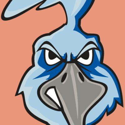 ROADRUNNER HD0502 RQC Thumbnail