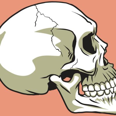 AR24 SKULL 12 RQC Thumbnail