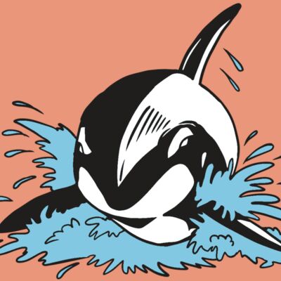 AR19 ORCA 01 RQC Thumbnail