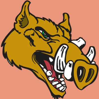 AR RAZORBACK 17 RC Thumbnail