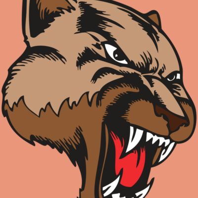 BAW COUG PANTH 11 R Thumbnail