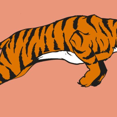 AR TIGER 79 RC Thumbnail