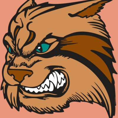 BAW WILDCAT 05 RC Thumbnail