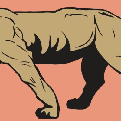 AR10 PANTHER 04 RQC Thumbnail