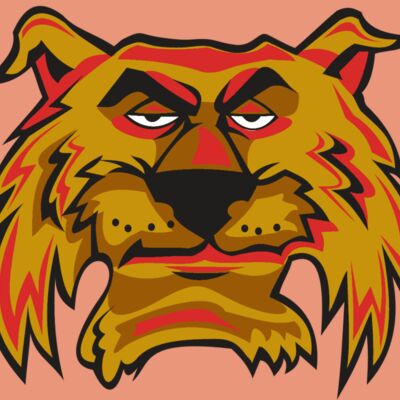 WILDCAT HD0503 RQC Thumbnail