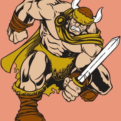 AR VIKING 35 RC Thumbnail