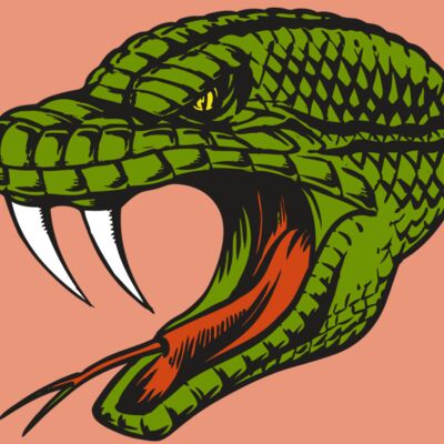 BAW SNAKE 14 RC Thumbnail