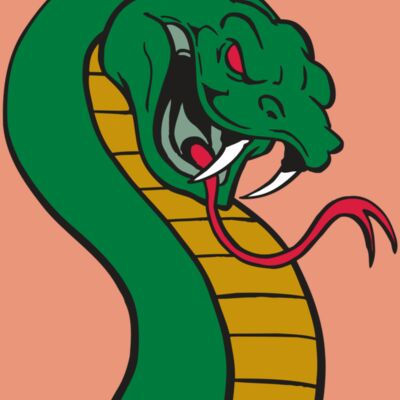 AR SNAKE 12 RC Thumbnail