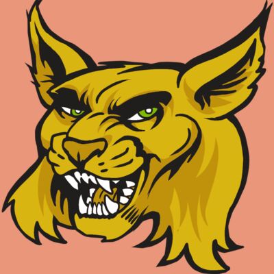 AR30 WILDCAT 03 RQC Thumbnail