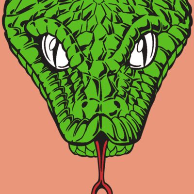 BAW SNAKE 08 RC Thumbnail