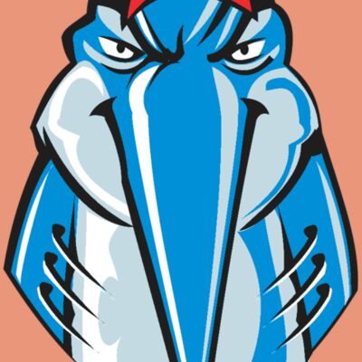 MARLIN HD0502 RQC Thumbnail