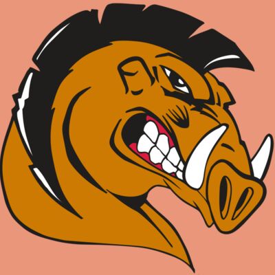 AR RAZORBACK 19 RC Thumbnail