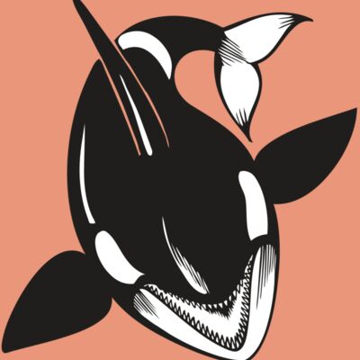 BAW KLRWHALE 01 RC Thumbnail