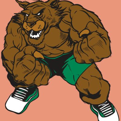 AR WILDCAT 45 RC Thumbnail