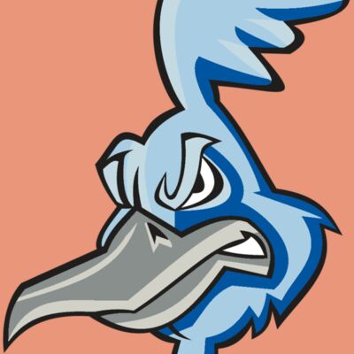 ROADRUNNER HD0501 RQC Thumbnail