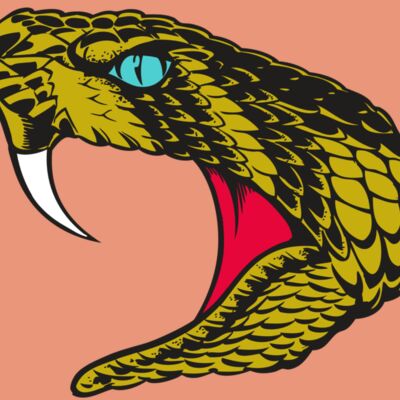 BAW SNAKE 16 RC Thumbnail