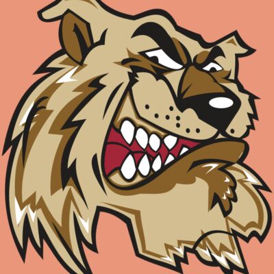 WILDCAT HD0502 RQC Thumbnail