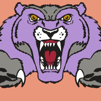 AR WOLVERINE 17 RC Thumbnail