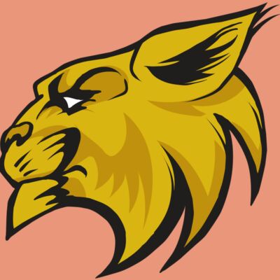 AR30 WILDCAT 02 RQC Thumbnail