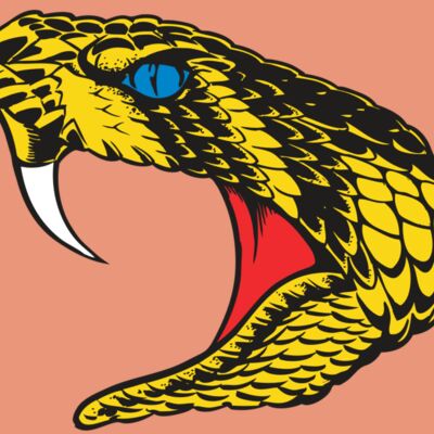 BAW SNAKE 06 RC Thumbnail