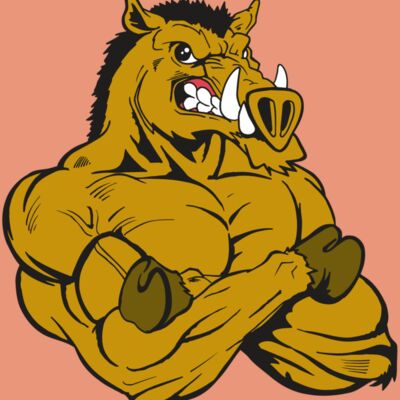 AR5 Razorback 17 RQC Thumbnail