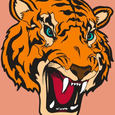 BAW TIGER 12 RC Thumbnail