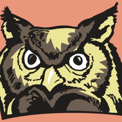 AR OWL 10 RC Thumbnail